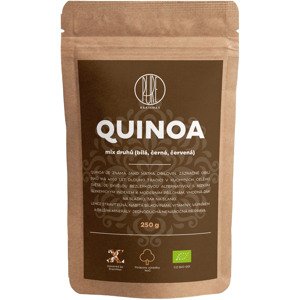 BrainMax Pure Quinoa BIO, mix 3 druhov, 250 g *CZ-BIO-001 certifikát